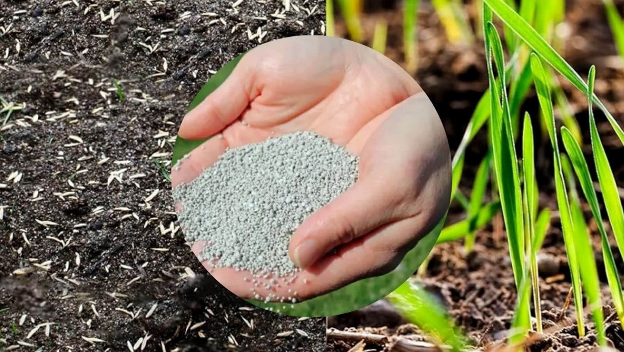OPPENHÄUSER Engrais gazon printemps 10 kg pour jusqu'à 500m² – Effet immédiat pour une pelouse dense, verte et robuste, repousse la mousse, engrais longue durée