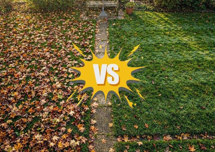 Ramasser les feuilles mortes sur pelouse