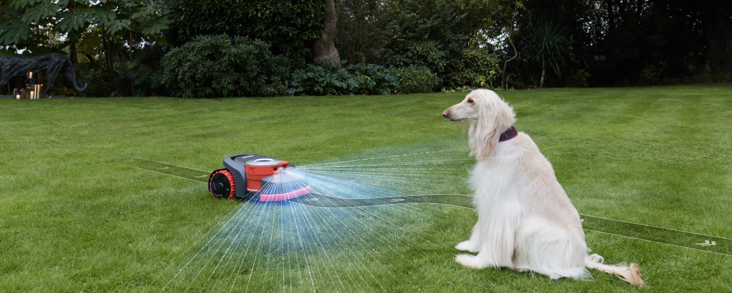 Navimow i105 robot tondeuse tondant la pelouse avec un chien.