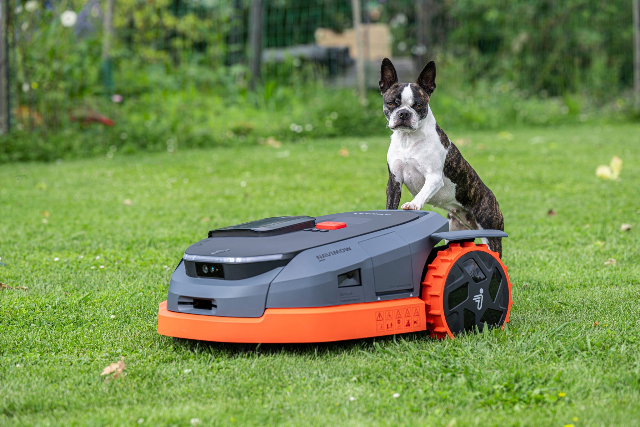 Location robot tondeuse France : tarifs, modèles et conseils