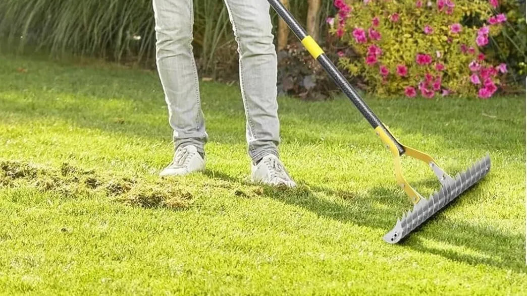 Quand scarifier sa pelouse