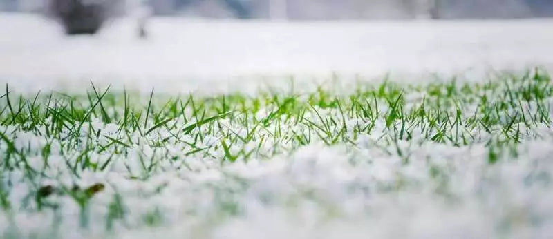 Dernière tonte avant l'hiver
