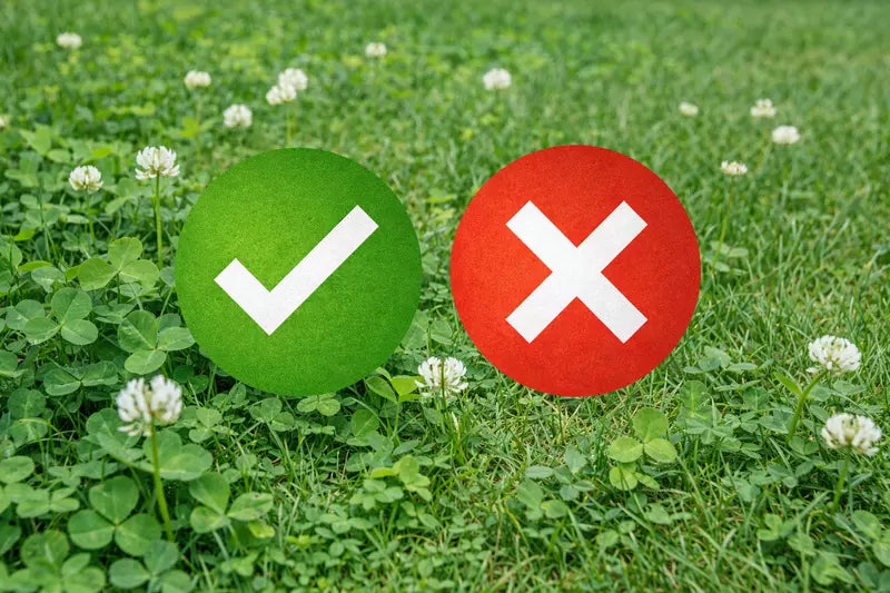 Faut-il laisser le trèfle dans la pelouse