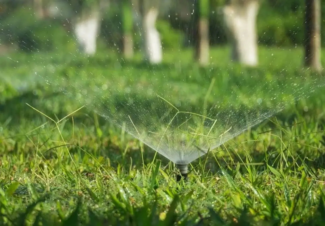 Arrosage pelouse automatique