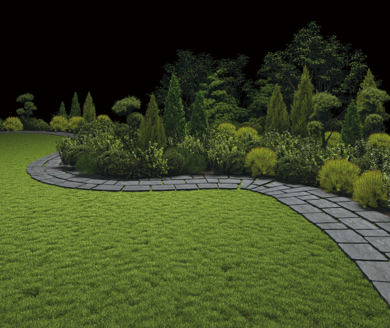 Buissons denses et pelouse luxuriante