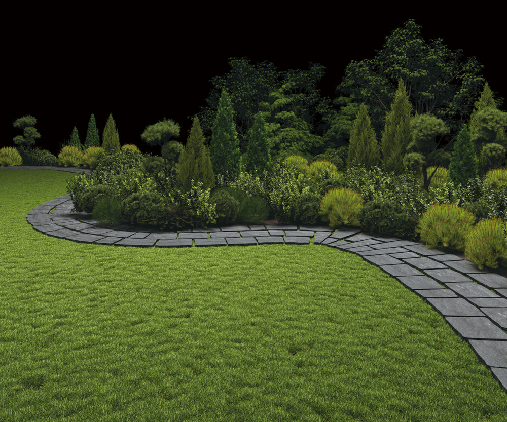  Buissons denses et pelouse luxuriante