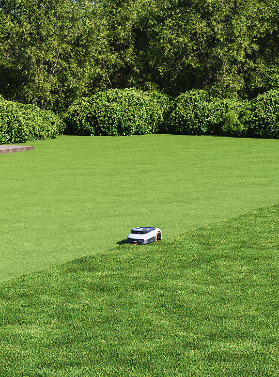 Navimow i105E robot tondeuse tondant une pelouse verte et impeccable.