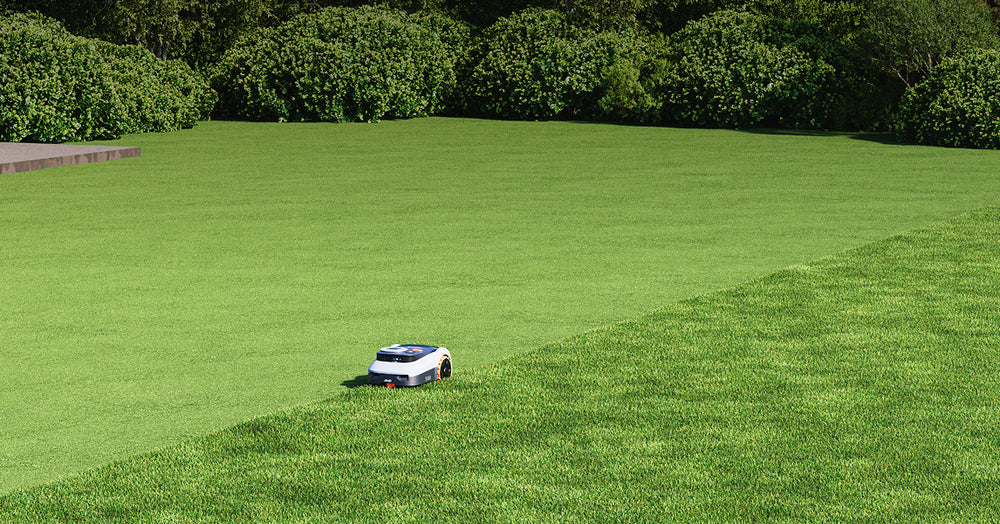 Navimow i105E robot tondeuse tond une pelouse verte de jardin.