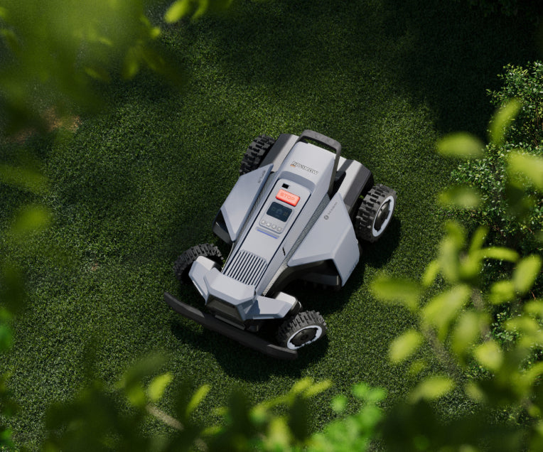 Passages étroits et nombreux arbres