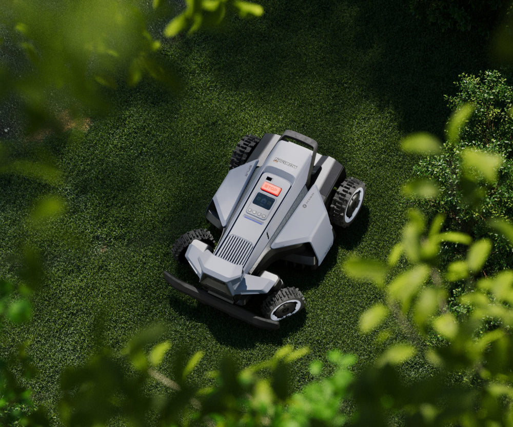 Passages étroits et nombreux arbres